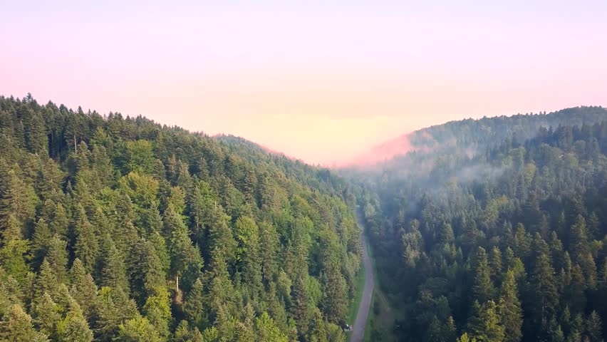 Beautiful aerial shot of green hills and valleys. Nature of Bieszczady Mountains seen from above.