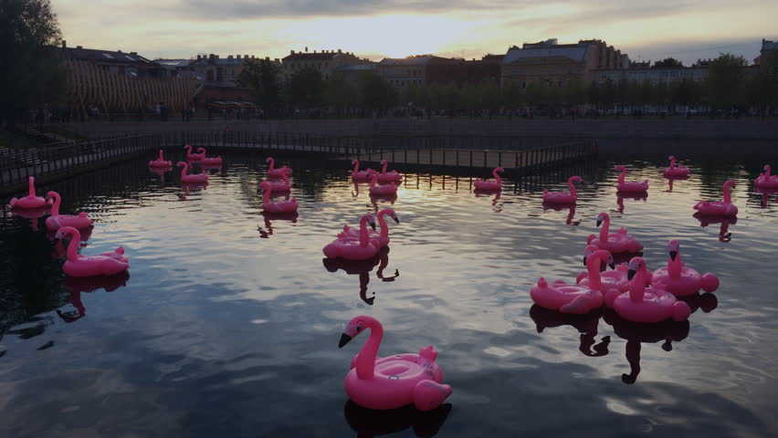 Inflatable pink flamingos in the pool