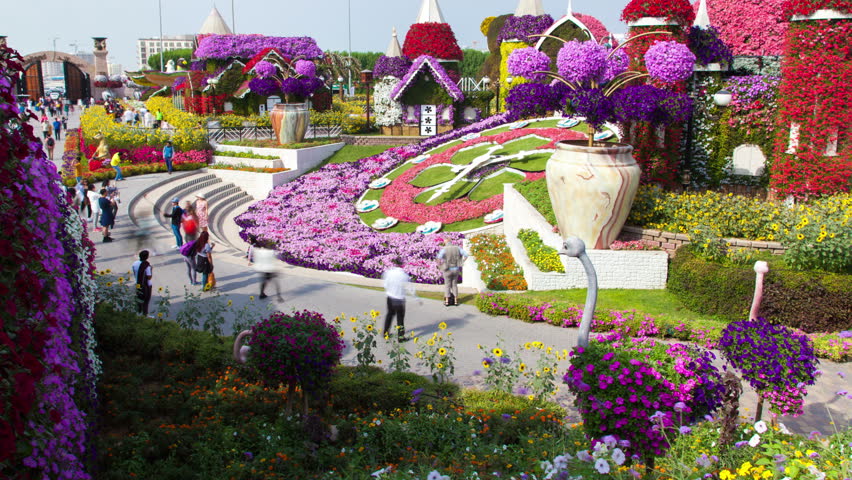 Miracle Garden Clock time lapse Dubai. pan up