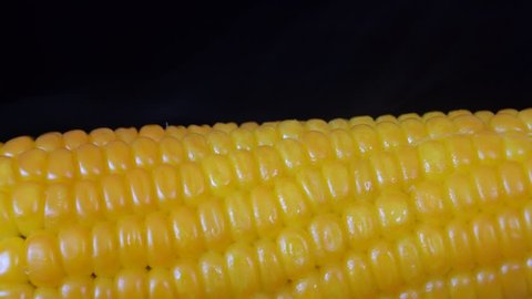 Butter slices on boiled corn. A slice of butter slowly slides down the surface of hot corn. Close up