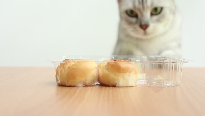 Cat smell Choux Cream on wood table.