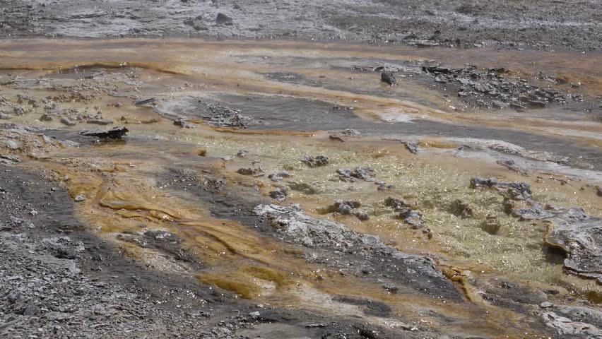 Algae-bacterial mats. Hot thermal spring, hot pool in the Yellowstone National park. Wyoming, USA