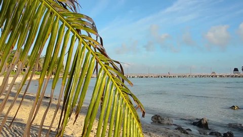 Get Weisser strand vorhaenge For iPhone