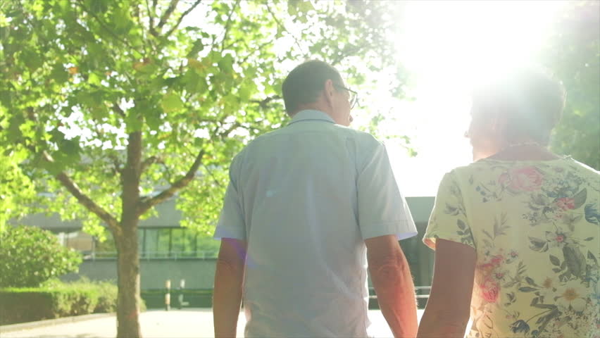 Back view slow motion steady cam view of an active senior caucasian tourist couple walking in london backlit by the sun themes of sightseeing active seniors direction on the move Royalty-Free Stock Footage #1015522795