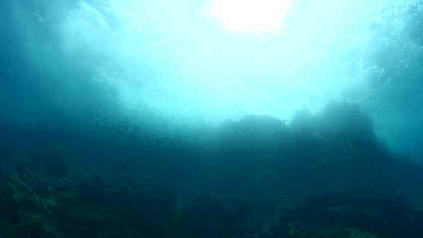 Sun rays sun beam sun shine underwater fish around waves on rocks white foam slow motion
 | Shutterstock HD Video #1015536562