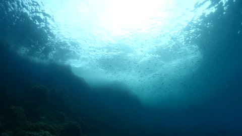 sun rays sun beam sun shine underwater fish around waves on rocks white foam slow motion

