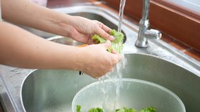 4K footage. woman holding and draining water out of fresh lettuce , washing vegetable from sink at counter kitchen for prepare ingredients for cooking