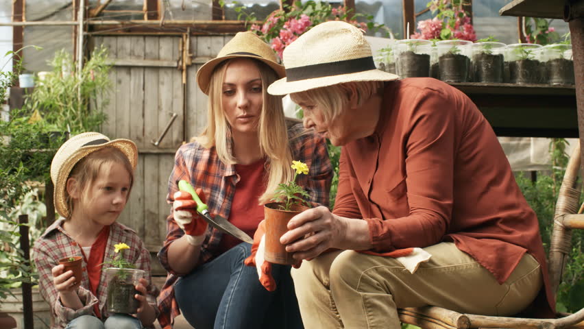 Medium shot of happy young woman and little girl helping elderly woman inspecting potted flowers seedlings in rustic greenhouse