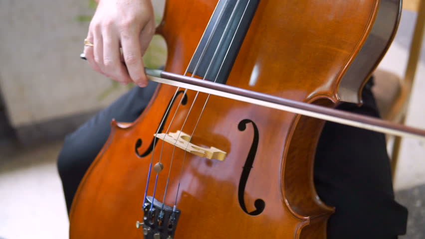 Man Hand Playing cello With Cello Bow. Close up of Male Hand Playing Cello With Cello Bow. Classical Orchestra Musician | Shutterstock HD Video #1015585069
