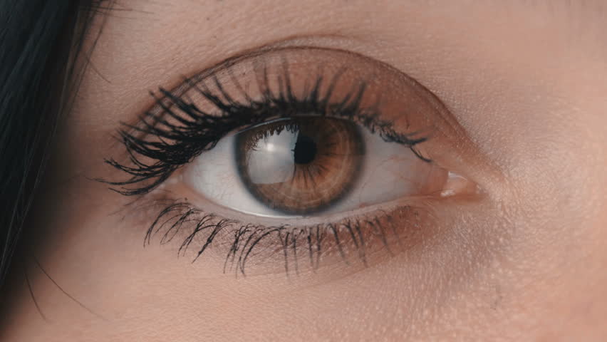Macro Close-up Brown woman's eye blinking | Shutterstock HD Video #1015626364