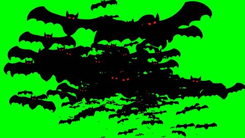 swarm Bat flying animation through camera on green screen for text copy title reveal