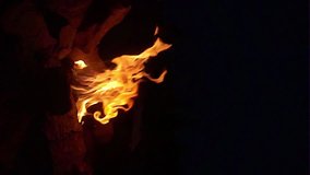 Slowed down vertical video 120 fps cooking marshmallow strung on a skewer on a fire in the evening in a tourist camp in the open air