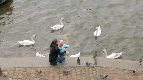 mother and her little child are feeding white wild swans, standing on city embankment