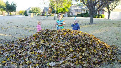 Two toddlers watch a boy run into a leaf pile