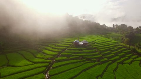 Aerial drone shot one of the most beautiful rice field in Thailand with morning fog.
