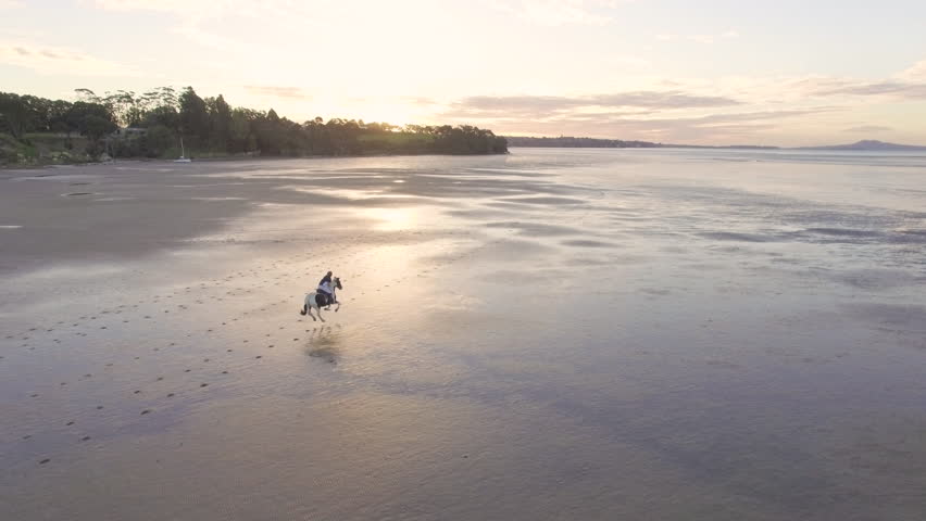 Aerial drone shot moving towards a young woman riding her white horse as it gallops along the expansive beach during sunset