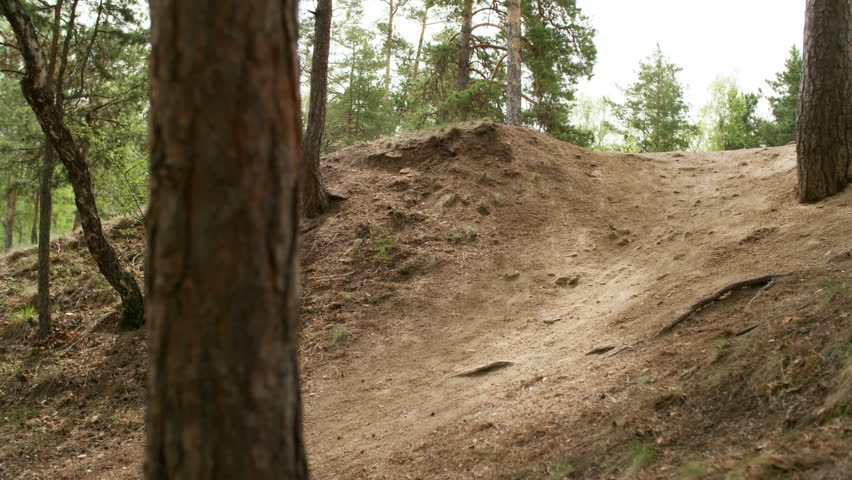 PAN of elderly man and senior woman with trekking poles walking uphill in forest