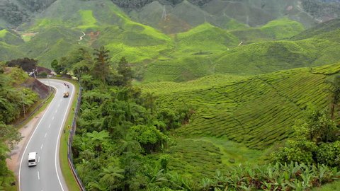 Aerial shot of a beautiful tea plantations-terraces Stock Video