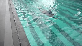 An asian girl is swimming for exercise at the swimming pool in slow motion style