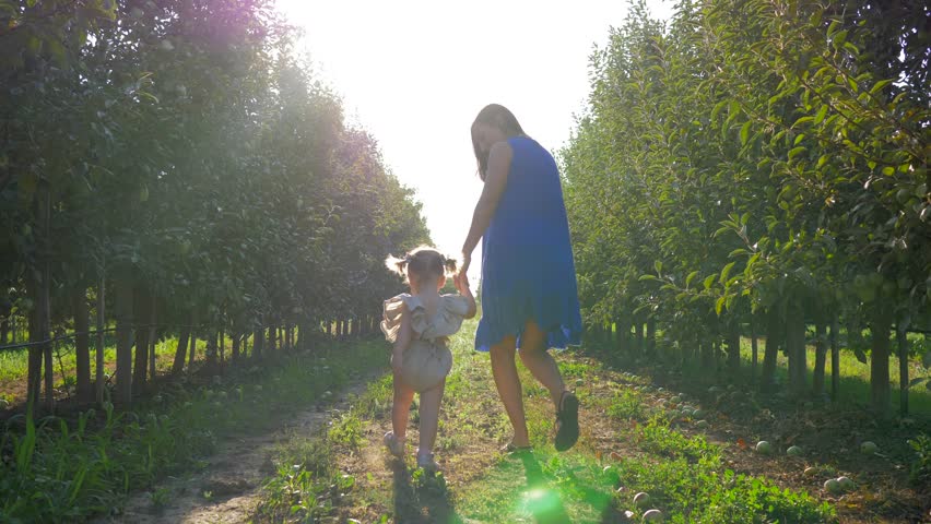 Harvest season in apple orchard, happy family walking between rows of trees at autumn garden in bright sunlight | Shutterstock HD Video #1015723267