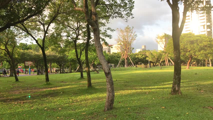 People playing, sporting and relaxing at Daan park Taipei on a summer afternoon.