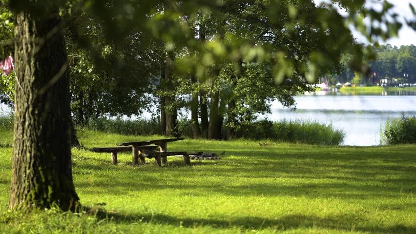 Empty vacation camp in the forest