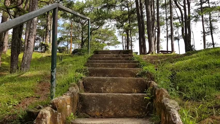 A slow stabilized moving shot of a walking path in a park full of trees. Shot in Baguio, Philippines.