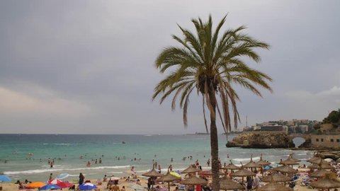 Cala Major, Mallorca, Spain - 07 06 2018: Cala Major, Mallorca, Spain, July 2018- Lonely Palm tree at the beach