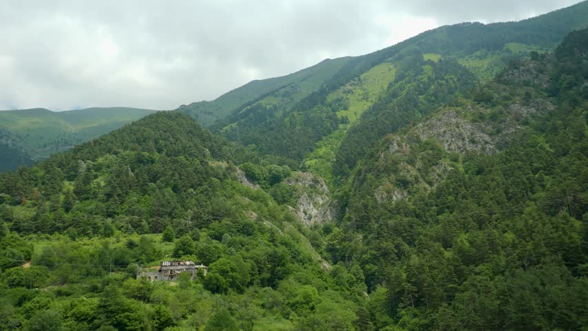 Vast Mountainous Forest in Switzerland