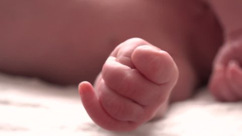 The hand of a newborn