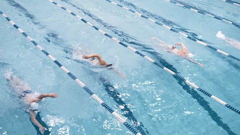 Top view four professional swimmer floating on track in swimming pool performing crawl styleの動画素材