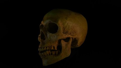 Halloween,Talking skull on black background.