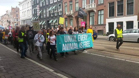 Amsterdam, August 2018. Animal Rights demonstration. March through the city.
