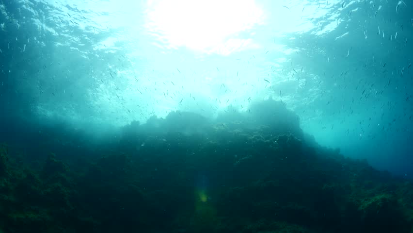 Sun rays sun beam sun shine underwater fish around waves on rocks white foam slow motion
 | Shutterstock HD Video #1015815241
