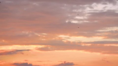Red Purple Orange Blue Pink の動画素材 ロイヤリティフリー Shutterstock Red Purple Orange Blue Pink の動画素材 ロイヤリティフリー Shutterstock