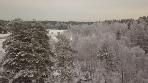 Swedish Scandinavian winter landscapes filmed in drone fly by. Beautiful soft light showing forest, trees and field on a ice cold cloudy and moody day. Stockholm area