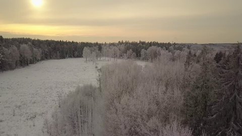 Swedish Scandinavian winter landscapes filmed in drone fly by. Beautiful soft light showing forest, trees and field on a ice cold cloudy and moody day. heavy snow on small and big branches. wonderland