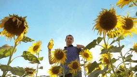 man farmer holding in hand a plastic bottle sunflower oil stands in the field. slow motion video. sunflower oil production and research agriculture farming. large sunflowers against the blue sky