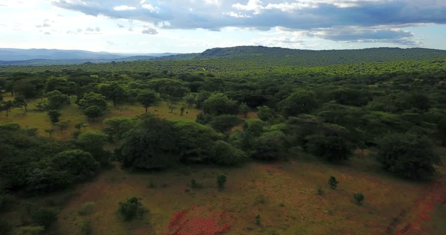 Aerial drone shot of traditional African rural village Uganda at sunset, Beautiful lush nature landscape at sunset East Africa.