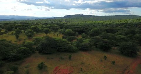 Aerial drone shot of traditional African rural village Uganda at sunset, Beautiful lush nature landscape at sunset East Africa.