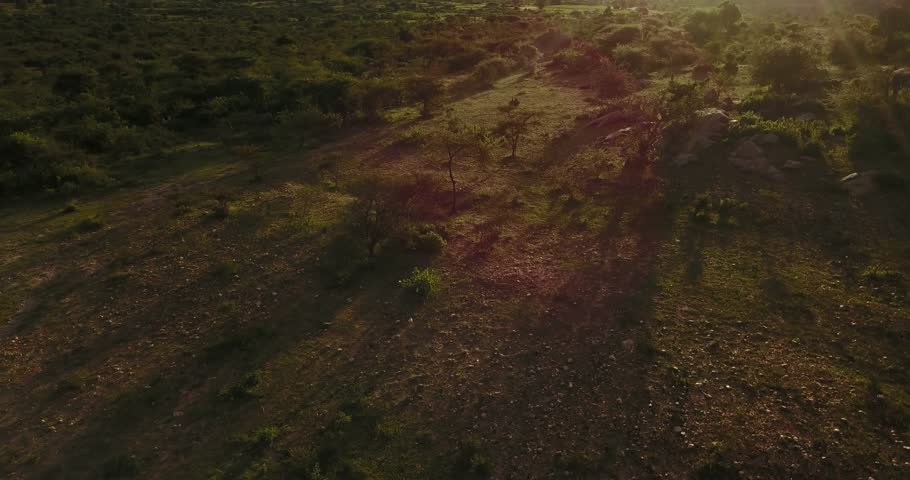 Aerial Flying over the Beautiful lush nature landscape at sunset, East Africa