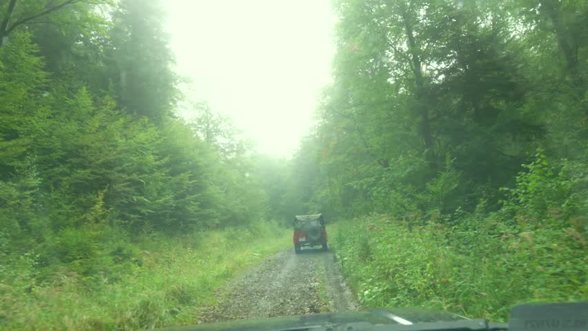Off-road vehicle will drive away into the foggy wild forest through a forest road