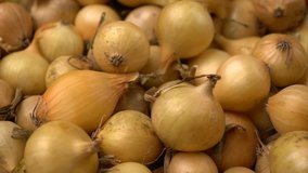 Footage white onions rotation background. Slow motion video