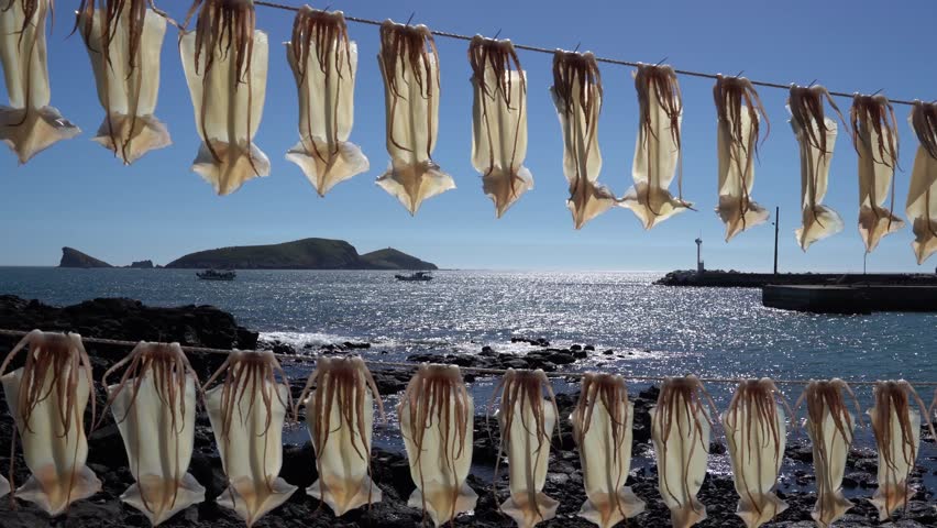 Dry squid at the beach in jeju island.