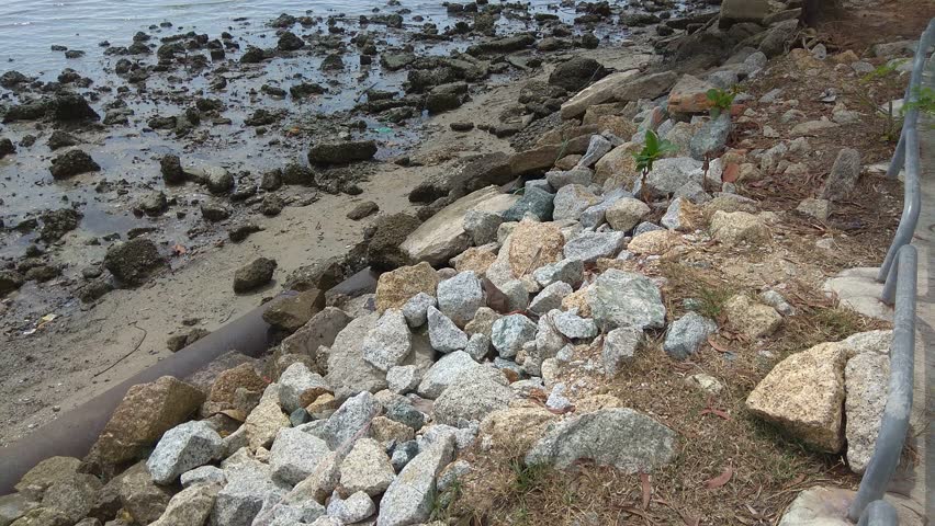 View of muddy shore in high resolution 4K