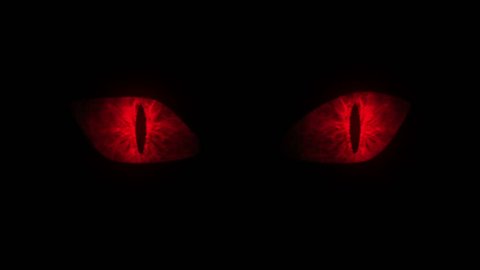 Red cat eyes blinking Loop.
Animation of red cat eyes blinking. Seamless loop.