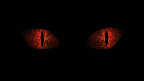 Orange cat eyes blinking Loop.
Animation of orange cat eyes blinking. Seamless loop.
