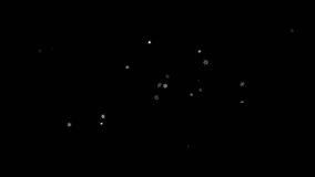 Gathering of flickering snowflakes as 2019 and dissolution on a black background. Optimal for using in screen mode. 4K, 3840x2160. Seemless looped video.