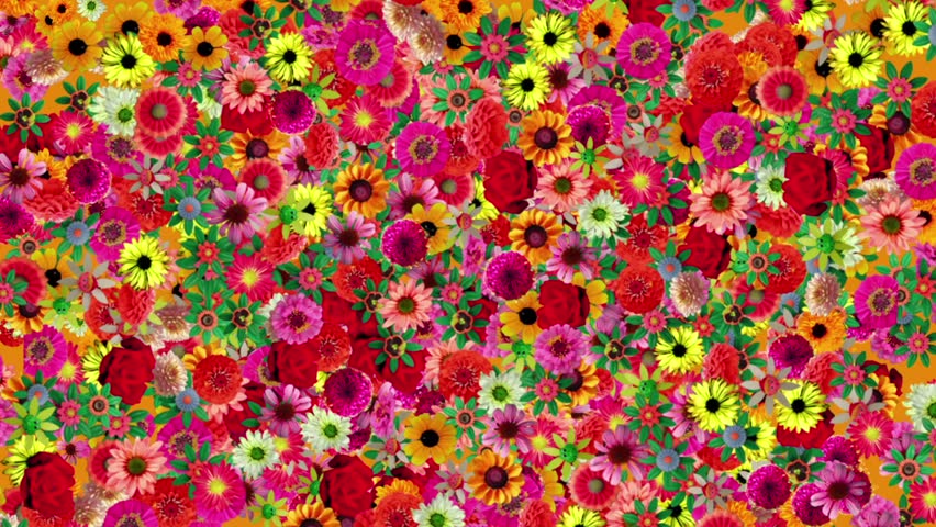 warm flowers colorful motion background 2 Stock Footage Video (100%