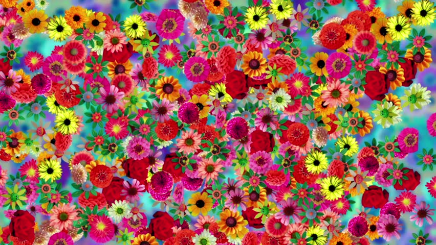 Bright Flowers Colorful Motion Background Stock Footage Video (100% ...